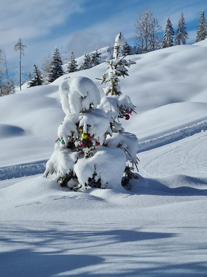 Die Weisse Wand Weissensee Εξωτερικό φωτογραφία